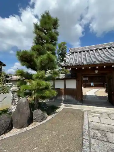 大松禅寺の山門