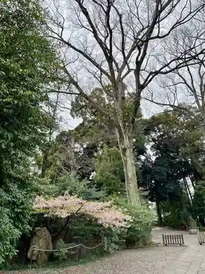 武蔵野八幡宮(東京都)