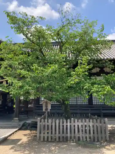 誉田八幡宮の庭園