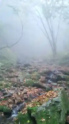 武蔵御嶽神社の周辺
