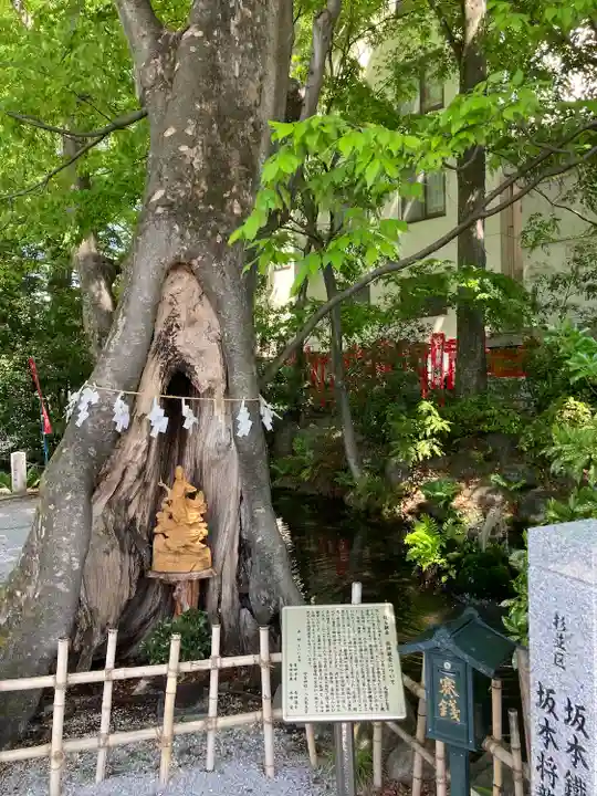 秩父今宮神社の自然