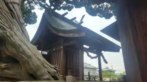 金刀比羅神社(愛媛県)