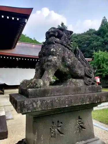 橘神社の狛犬