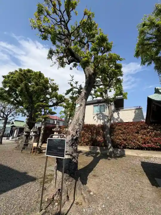 香取神社の自然