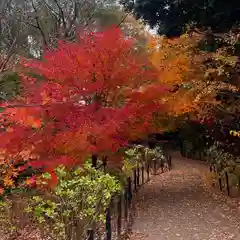 本土寺(千葉県)