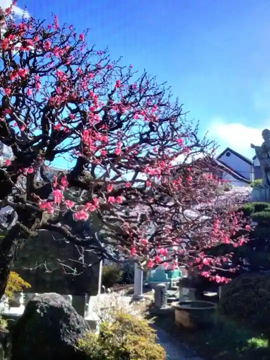 長善寺(東京都)