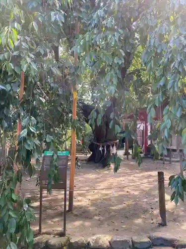 小川諏訪神社(福島県)
