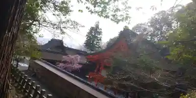 出雲大神宮の本殿・本堂