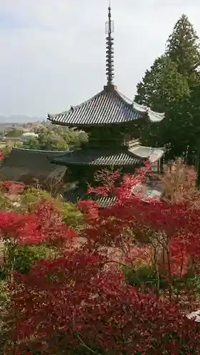 常樂寺の景色