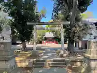 中町天祖神社の鳥居