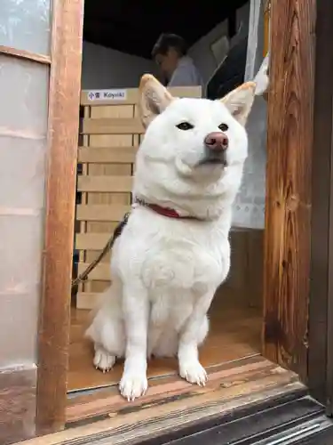 宗忠神社(京都府)