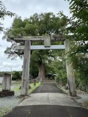 津江神社(福岡県)