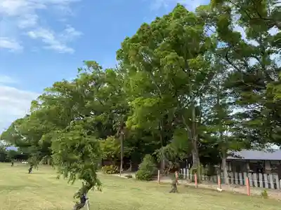 美奈宜神社(福岡県)