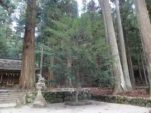 室生龍穴神社の自然