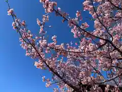 かっぱの寺 栖足寺の自然