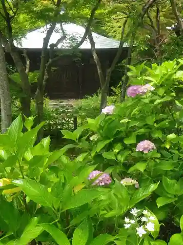 浄光明寺の自然