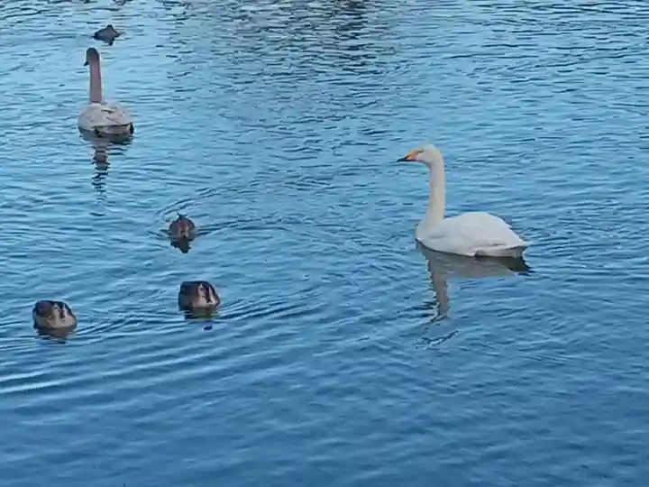 静神社(栃木県)