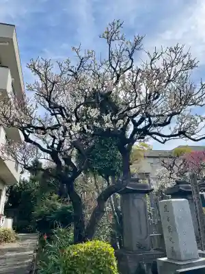 西念寺の{uncategorized: "未分類", other: "その他", undefined: "問題あり", building: "その他建物", grave: "お墓", sacred_gate: "鳥居", guardian: "狛犬", statue: "像", buddha: "仏像", history: "歴史", nature: "自然", garden: "庭園", animal: "動物", pagoda: "塔", temizu: "手水舎", mountain_gate: "山門・神門", sanctuary: "本殿・本堂", subordinate: "末社・摂社", art: "芸術", scenery: "景色", jizo: "地蔵", ema: "絵馬", goshuin: "御朱印", omikuji: "おみくじ", items: "授与品その他", amulet: "お守り", goshuincho: "御朱印帳", eats: "食事", festival: "お祭り", votive_dance: "神楽", shichigosan: "七五三参", wedding: "結婚式", experience: "体験その他", initially: "初詣", around: "周辺", anti_infection: "感染症対策"}