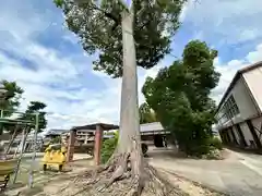 素盞嗚神社(奈良県)