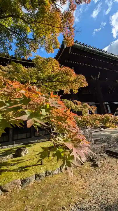 真正極楽寺(真如堂)(京都府)