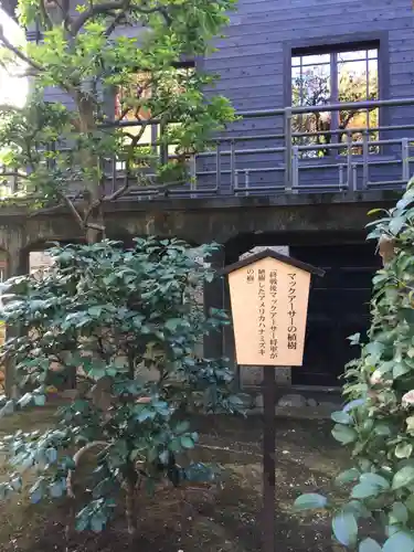 乃木神社の庭園