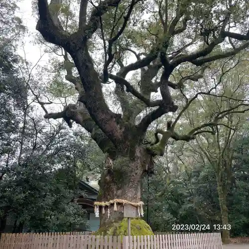 熱田神宮(愛知県)