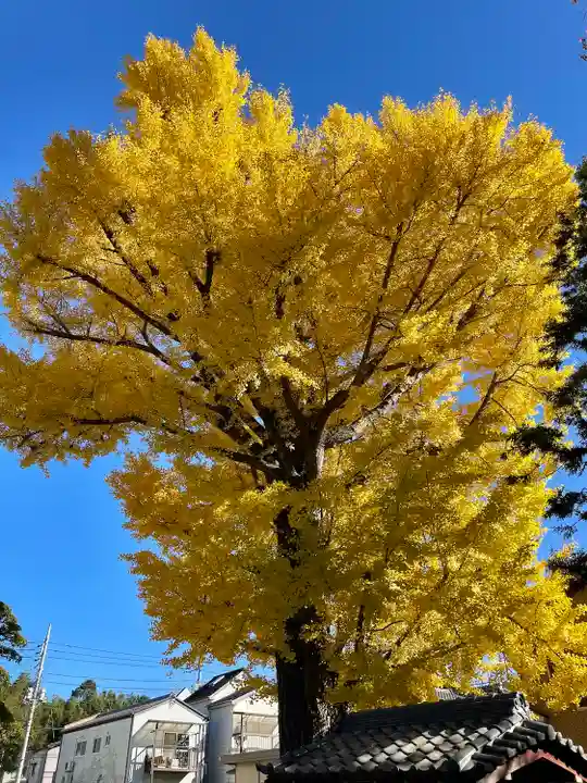 取手八坂神社(茨城県)