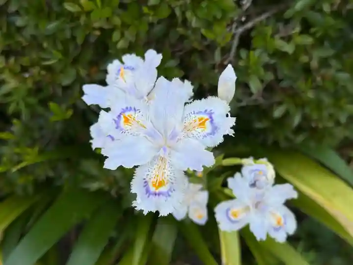 西方山極楽寺(岐阜県)