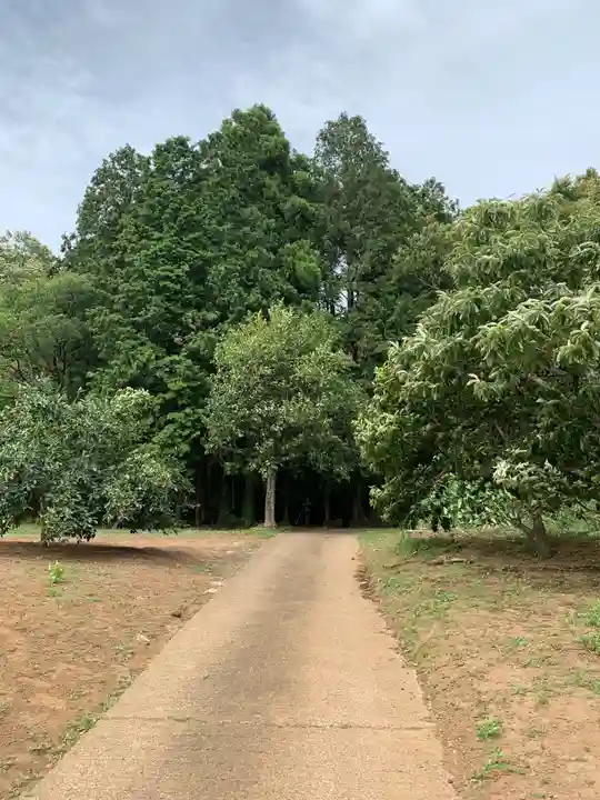 神社(名称不明)(千葉県)