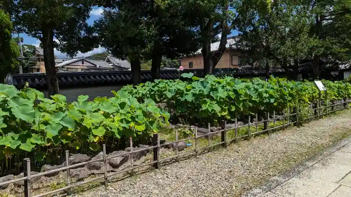 大谷本廟(京都府)