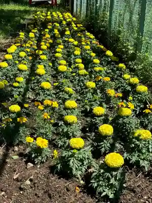 桂川神社(山梨県)