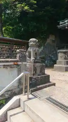 建長寺 半僧坊の狛犬