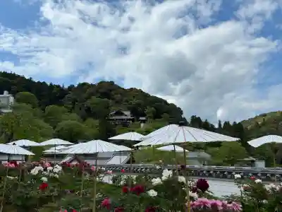 長谷寺の{uncategorized: "未分類", other: "その他", undefined: "問題あり", building: "その他建物", grave: "お墓", sacred_gate: "鳥居", guardian: "狛犬", statue: "像", buddha: "仏像", history: "歴史", nature: "自然", garden: "庭園", animal: "動物", pagoda: "塔", temizu: "手水舎", mountain_gate: "山門・神門", sanctuary: "本殿・本堂", subordinate: "末社・摂社", art: "芸術", scenery: "景色", jizo: "地蔵", ema: "絵馬", goshuin: "御朱印", omikuji: "おみくじ", items: "授与品その他", amulet: "お守り", goshuincho: "御朱印帳", eats: "食事", festival: "お祭り", votive_dance: "神楽", shichigosan: "七五三参", wedding: "結婚式", experience: "体験その他", initially: "初詣", around: "周辺", anti_infection: "感染症対策"}
