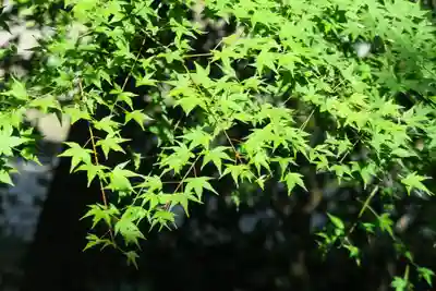 大門寺(大阪府)