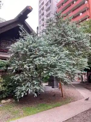 蔵前神社(東京都)