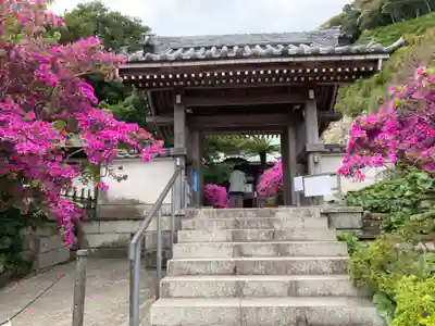安養院　(田代寺）(神奈川県)