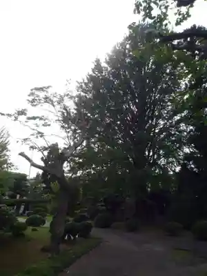 泉倉寺(千葉県)