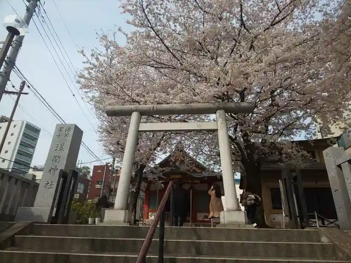浅草富士浅間神社の鳥居