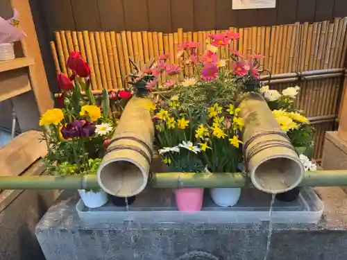 小網神社の{uncategorized: "未分類", other: "その他", undefined: "問題あり", building: "その他建物", grave: "お墓", sacred_gate: "鳥居", guardian: "狛犬", statue: "像", buddha: "仏像", history: "歴史", nature: "自然", garden: "庭園", animal: "動物", pagoda: "塔", temizu: "手水舎", mountain_gate: "山門・神門", sanctuary: "本殿・本堂", subordinate: "末社・摂社", art: "芸術", scenery: "景色", jizo: "地蔵", ema: "絵馬", goshuin: "御朱印", omikuji: "おみくじ", items: "授与品その他", amulet: "お守り", goshuincho: "御朱印帳", eats: "食事", festival: "お祭り", votive_dance: "神楽", shichigosan: "七五三参", wedding: "結婚式", experience: "体験その他", initially: "初詣", around: "周辺", anti_infection: "感染症対策"}