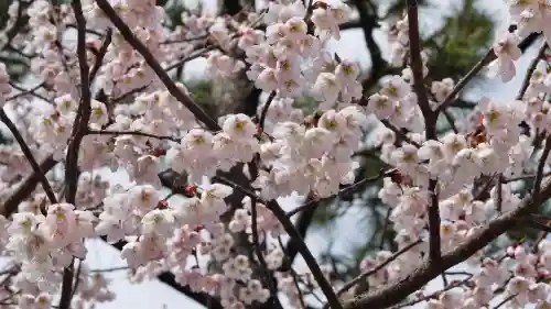 車折神社の景色