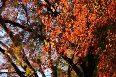 談山神社(奈良県)