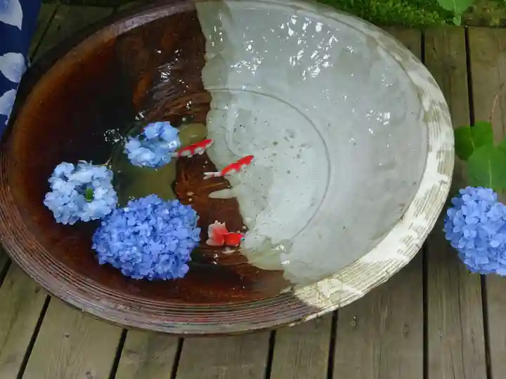 明月院の手水舎