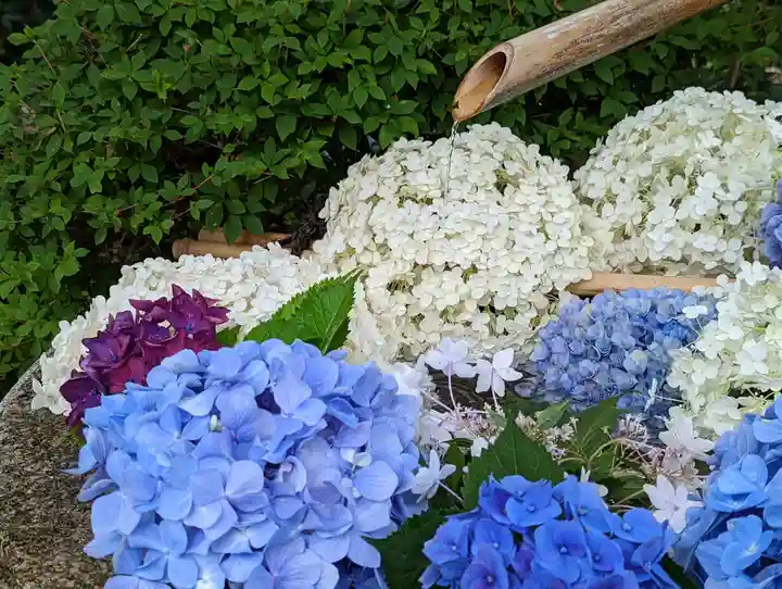 一條殿 新善光寺(京都府)