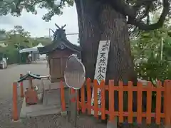 百舌鳥八幡宮(大阪府)