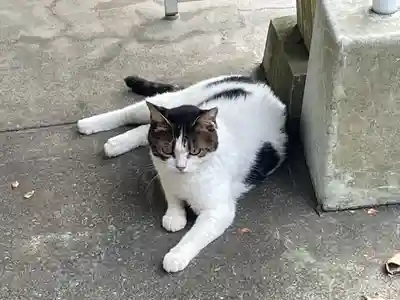 皇大神宮（烏森神社）(神奈川県)