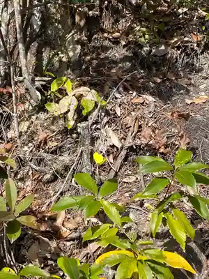 石上布都魂神社(岡山県)