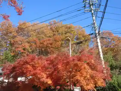 秩父札所１番　四萬部寺(埼玉県)