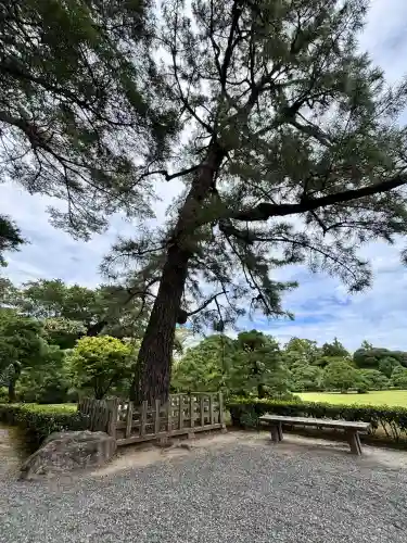 伊勢神宮内宮（皇大神宮）(三重県)