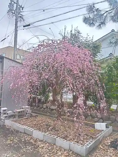 加納天満宮(岐阜県)