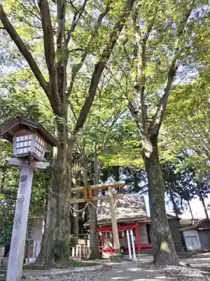 神明大神宮(神奈川県)